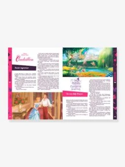 DISNEY PRINCESSES - 365 Histoires Pour Le Soir - Princesses Et Fées HACHETTE Multicolor - Disney -Enfants Jeux Magasin disney princesses 365 histoires pour le soir princesses et fees hachette 1
