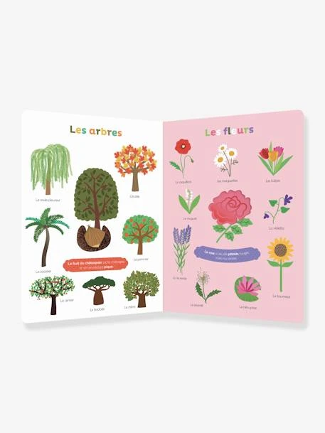 Imagier Ma Nature à Découvrir Et à Toucher AUZOU Blanc - Auzou 2 Imagier Ma Nature à Découvrir Et à Toucher AUZOU Blanc - Auzou – Image 2