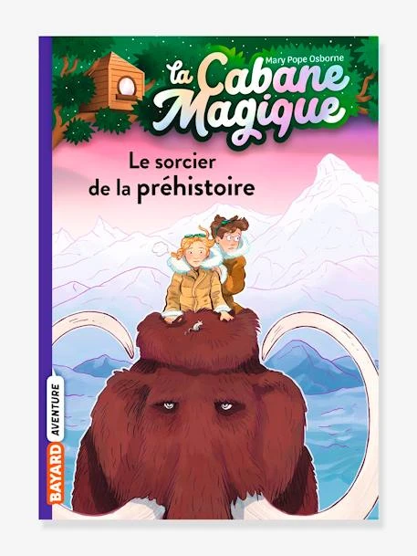 La Cabane Magique - T.6 - Le Sorcier De La Préhistoire - BAYARD JEUNESSE Blanc - Hachette 1 La Cabane Magique - T.6 - Le Sorcier De La Préhistoire - BAYARD JEUNESSE Blanc - Hachette