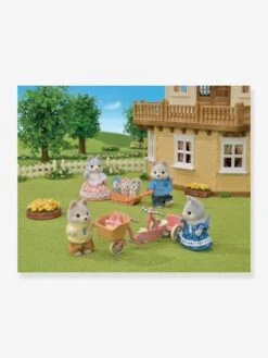 Les Frères Et Sœurs Husky Et Leur Tandem - SYLVANIAN FAMILIES Blanc - Sylvanian -Enfants Jeux Magasin les freres et soeurs husky et leur tandem sylvanian families 2