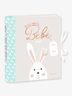 Livre De Naissance - Il était Une Fois Bébé LAROUSSE Bleu - Hachette