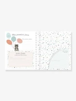 Livre De Naissance - Il était Une Fois Bébé LAROUSSE Bleu - Hachette -Enfants Jeux Magasin livre de naissance il etait une fois bebe larousse 3