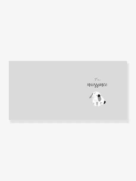 Livre De Naissance - Mon Livre De Bébé Mimi’lou HACHETTE PRATIQUE Blanc - Hachette 3 Livre De Naissance - Mon Livre De Bébé Mimi’lou HACHETTE PRATIQUE Blanc - Hachette – Image 3