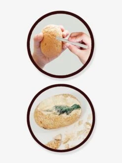 Maxi Pack 12 Oeufs Dinosaures - BUKI Orange - Buki -Enfants Jeux Magasin maxi pack 12 oeufs dinosaures buki 2