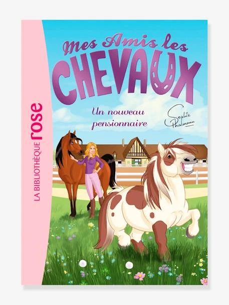 Mes Amis Les Chevaux - T.1 - Un Nouveau Pensionnaire - HACHETTE Blanc - Hachette 1 Mes Amis Les Chevaux - T.1 - Un Nouveau Pensionnaire - HACHETTE Blanc - Hachette
