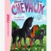 Mes Amis Les Chevaux - T.2 - La Grande Compétition - HACHETTE Blanc - Hachette