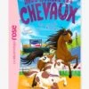 Mes Amis Les Chevaux - T.37 - Une Médaille Pour Moustique - HACHETTE Blanc - Hachette
