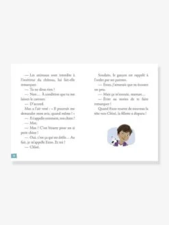 Mes Premières Enquêtes - T.1 - Le Fantôme Du Château - AUZOU Marron - Auzou -Enfants Jeux Magasin mes premieres enquetes t.1 le fantome du chateau auzou 2