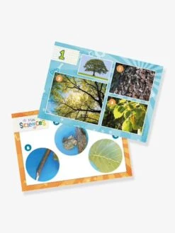 Mini Sciences - Microscope - BUKI Vert - Buki 8 Mini Sciences - Microscope - BUKI Vert - Buki -Enfants Jeux Magasin mini sciences microscope buki 2